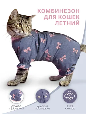 Милая одежда для кошек зимняя теплая флисовая одежда для кошек толстовки  для домашних животных кролик кошка рождественские костюмы одежда котята  котенок пальто куртка | AliExpress