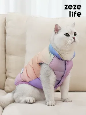 милая мода ручной вязаный крючком животное форма лягушки аксессуары для  животных одежда котенок шляпа для кошки собаки| Alibaba.com