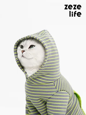 Одежда для кошек в зеленую полоску - Zezelife
