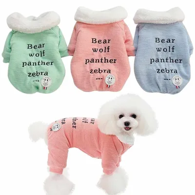Одежда для маленьких собак: какую одежду выбрать для маленьких собак?  читайте на Exomania