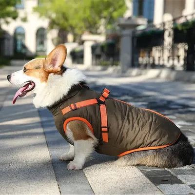 Куртка для щенка, водонепроницаемая одежда для маленьких собак с ремнями,  зимний теплый жилет для чихуахуа, пальто для Йорка, костюм Французского  бульдога | AliExpress