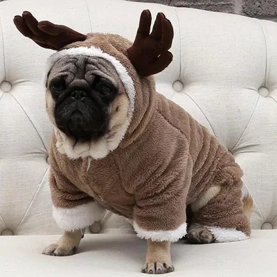 Купить Одежда для маленьких собак, осень-зима, теплый флисовый  рождественский костюм для собаки, комбинезон, пальто для щенка, куртка,  комбинезоны для собак, одежда для чихуахуа, мопса | Joom