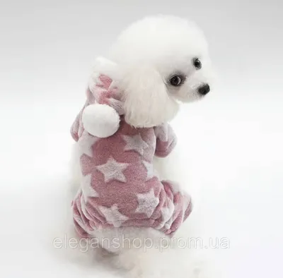 Зимняя кофточка пижама для собаки утепления одежда для маленьких собак до  2.5кг (ID#1913753434), цена: 400 ₴, купить на Prom.ua