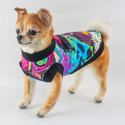 Одежда для собак маленьких пород - стильная майка с рисунком Неоновый микс  - купить с доставкой по выгодным ценам в интернет-магазине OZON (1134649372)