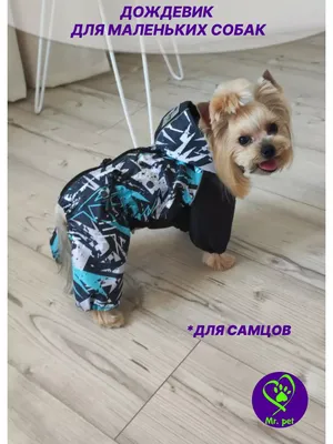 Mr.pet одежда для собак Дождевик для маленьких и средних собак