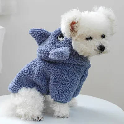 Осенне-зимняя теплая одежда для маленьких собак и кошек, одежда-трансформер  – лучшие товары в онлайн-магазине Джум Гик