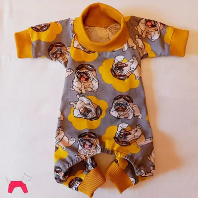 Одежда для собак маленьких пород, купить в интернет-магазине Лохматая мода