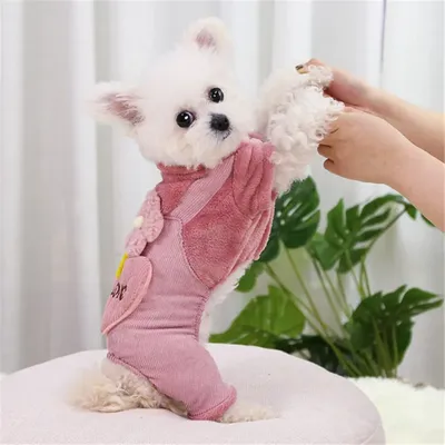 Тёплая одежда для собак/свитер осенне-зимний/утепленный костюм для маленьких  и средних пород - купить с доставкой по выгодным ценам в интернет-магазине  OZON (1212444413)