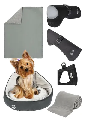 Одежда и товары для маленьких собак. Riided väikestele koertele. | Facebook