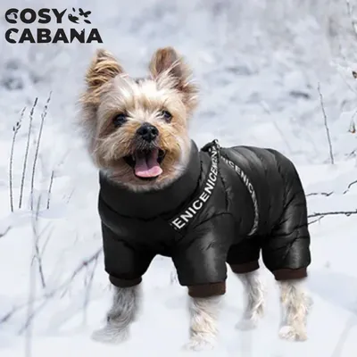 Зимняя куртка для собак, маленьких и средних собак / чихуахуа, французского  бульдога, йоркширского терьера и так далее / Размер 16, черный - купить с  доставкой по выгодным ценам в интернет-магазине OZON (1254017396)