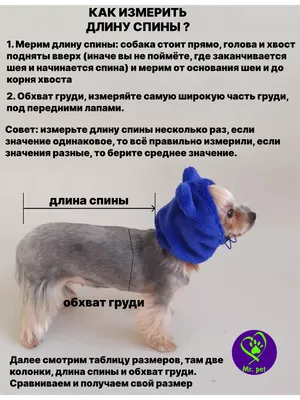Купить Одежда для котов и маленьких собак | Skrami.kz