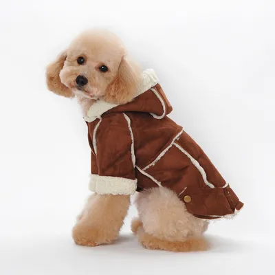 Собачья Одежда Rainbow Puppy Sweater Winter Theme Clothing Для Маленьких  Собак Французские Бульдоги Рождественский Костюм. От 1 800 руб. | DHgate
