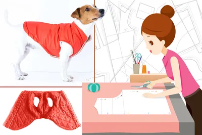 Купить одежду для Китайских Хохлатых Собак (КХС) в Интернет-магазине  McDog.ru