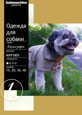 Комбинезон для собаки \"FBI\", куртка для собаки. Одежда для собак  (ID#636432810), цена: 550 ₴, купить на Prom.ua