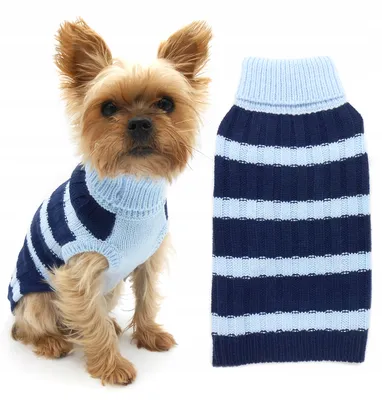 Одежда для собак DOGMODA: купить одежду для собак, красивая одежда для собак