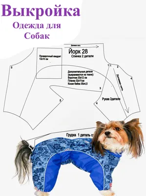 Выкройка Комбинезон для собаки. Йорк 28 см - купить с доставкой по выгодным  ценам в интернет-магазине OZON (830430905)