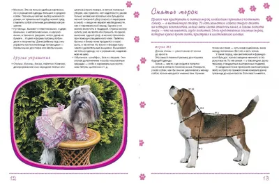 Выкройки для собак инструкция (51 фото) - картинки sobakovod.club