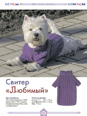 Шьем одежду для собак - выкройка | Йоркширский Терьер Продажа щенков из  питомника г.Санкт-Петербург