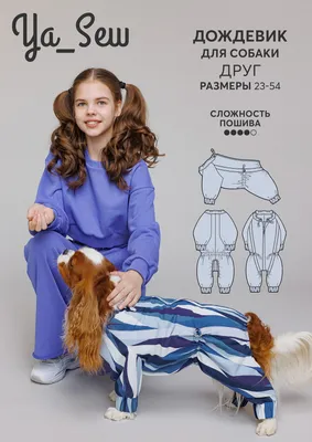 Выкройка комбинезона для собаки: шьем одежду питомцам своими руками |  ВКонтакте