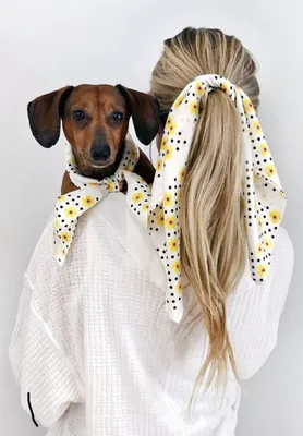 Журнал Диана Моден с выкройками, размеры 44-58, есть выкройки одежды для  собак. в дар (Москва). Дарудар
