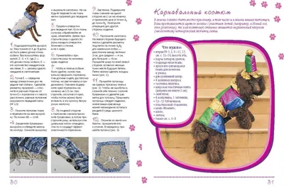 Выкройка Попона для собаки: купить выкройки, пошив и модели | Burdastyle