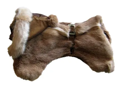 Выкройки одежды для собак китайская хохлатая: 6 тыс изображений найдено в  Яндекс.Картинках | Выкройка одежды для собак, Одежда для собак, Выкройки