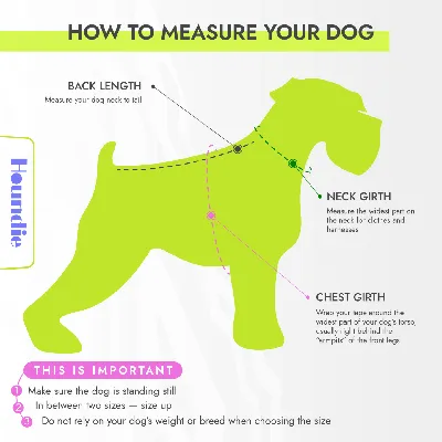 Как сшить комбинезон для собаки своими руками - выкройки, замеры, пошаговая  инструкция
