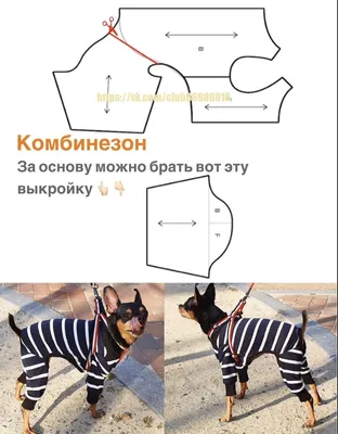 Вещи для собак своими руками (52 фото) - картинки sobakovod.club