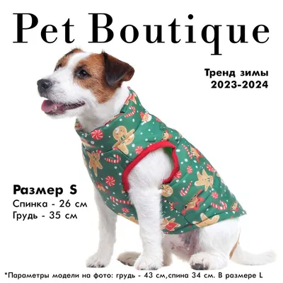 Выкройки одежды для собак и пошаговая инструкция шитья с фото -  Animallist.ru