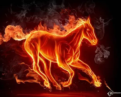 Огненная лошадь фото фотографии