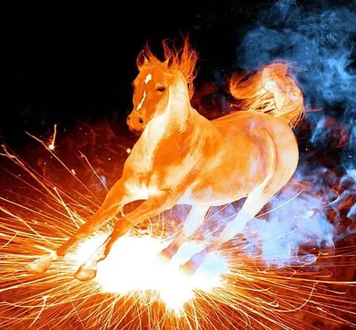 Мир огненных лошадей. 1 часть. | Злата Соколова | Дзен