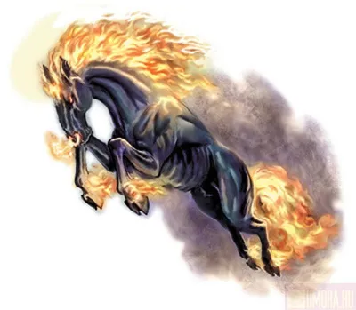 Огонь, поджоги, изолированные повышение лошади, Стоковое Фото - изображение  насчитывающей ангстрома, конспектов: 199806044