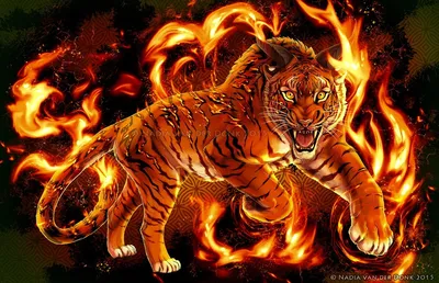 Картинки тигр в огне (67 фото) » Картинки и статусы про окружающий мир  вокруг