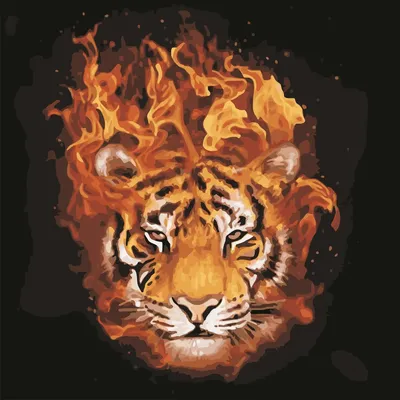 Огненный тигр с резкими контурами: фотка, передающая его харизму | Огненный  тигр Фото №520888 скачать