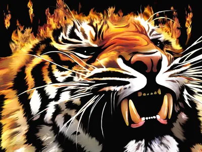 Пазл «Огненный тигр» из 300 элементов | Собрать онлайн пазл №8784