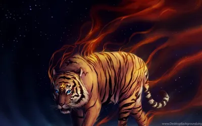 Фотообои Элит Декор Огненный тигр CH-1349: купить в интернет-магазине «Элит  Декор»