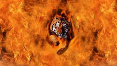 Кулон Огненный Тигр — Купить на BIGL.UA ᐉ Удобная Доставка (683735261)