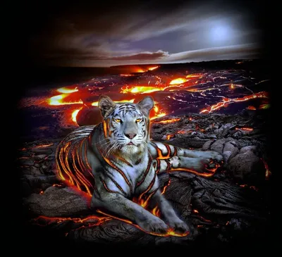 Картина Swarovski \"Огненный тигр\" 1591-gf купить недорого в  интернет-магазине Olpi.ru