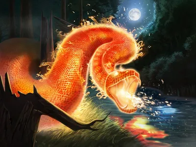 Огненный змей - великолепное фото в хорошем качестве