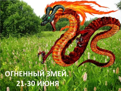 Бесплатные картинки: Огненный змей в формате jpg