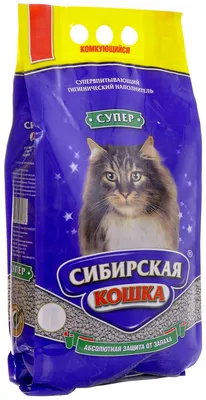 Поселок Большие Коты – все ландшафты Байкала за один день