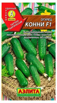 Купить огурец конни f1, 10 шт семян по цене 72 руб. в интернет магазине  \"Первые Семена\"