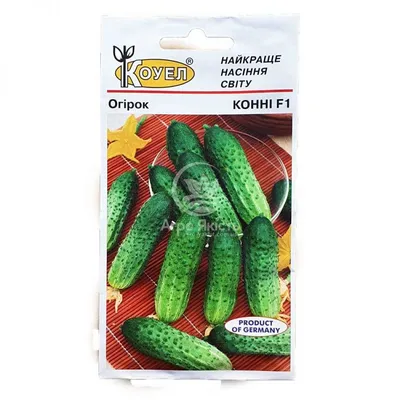 Семена огурец Русский огород Конни F1 410180 1 уп. - купить в Москве, цены  на Мегамаркет