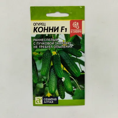 Огурцы Дом семян 46-OGUREC - купить по выгодным ценам в интернет-магазине  OZON (770731084)