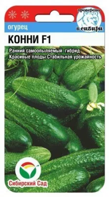 Семена Огурец \"Конни F1\" набор 1, 3, 5 уп купить по цене 36 ₽ в  интернет-магазине KazanExpress