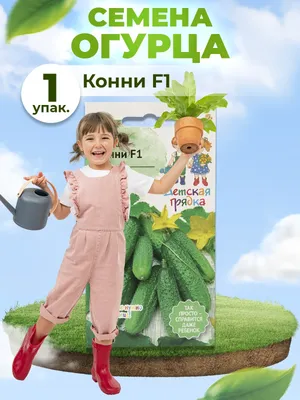 Купить Семена Золотая сотка Алтая огурец Конни f1 в кредит в Алматы – Kaspi  Магазин