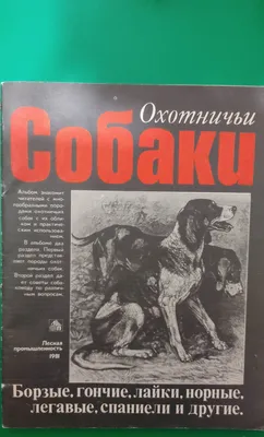 Иллюстрация Охотничьи лайки. Западно-сибирская лайка. в стиле