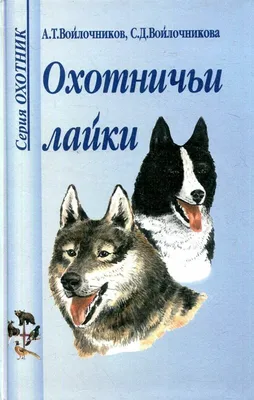 Якутская лайка: все о собаке, фото, описание породы, характер, цена