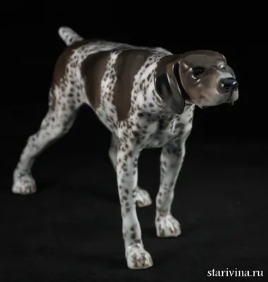 Купить фарфоровую статуэтку Охотничья собака, курцхаар, Rosenthal, Германия  по низким ценам - Старивина