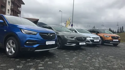 AUTO.RIA – Какие модели Opel с пробегом самые популярные в Украине?